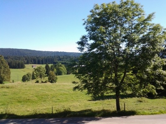 Photo n° 19 de la location