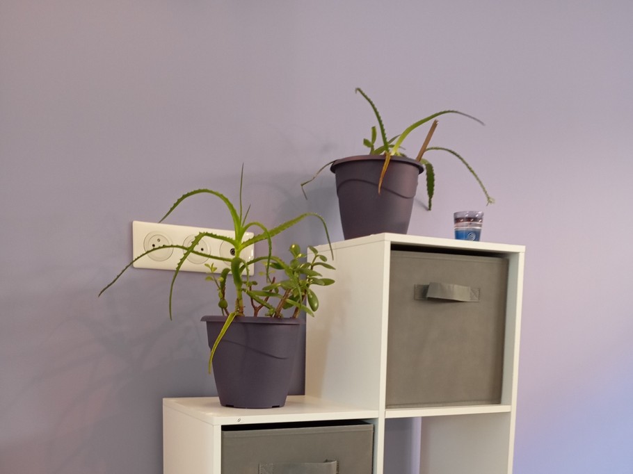 Photo n° 7 of the location