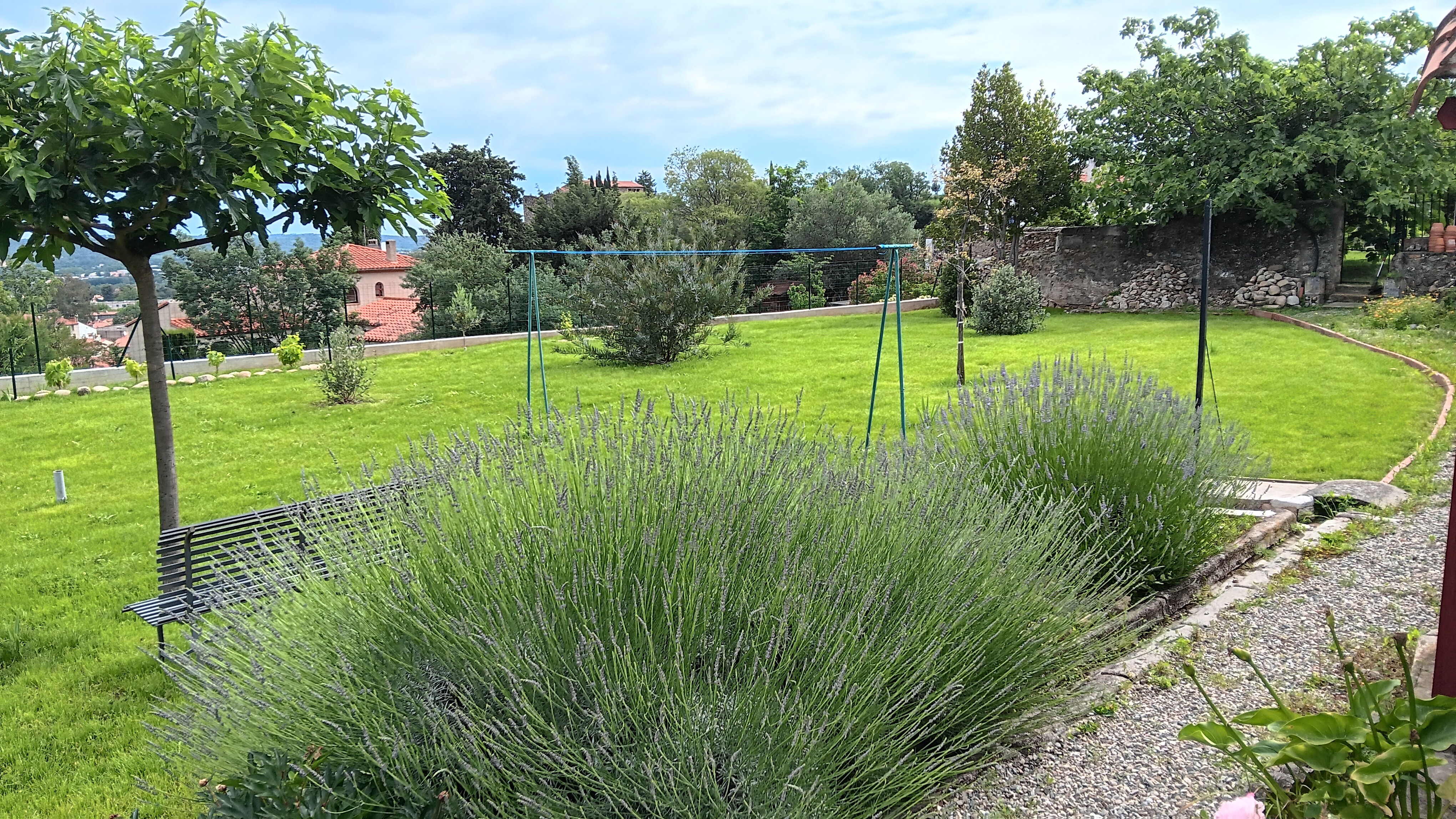 Jardin 2