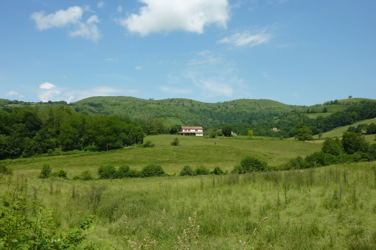 Gîte Arsoritz Borda à Saint Jean le Vieux (Pays basque)