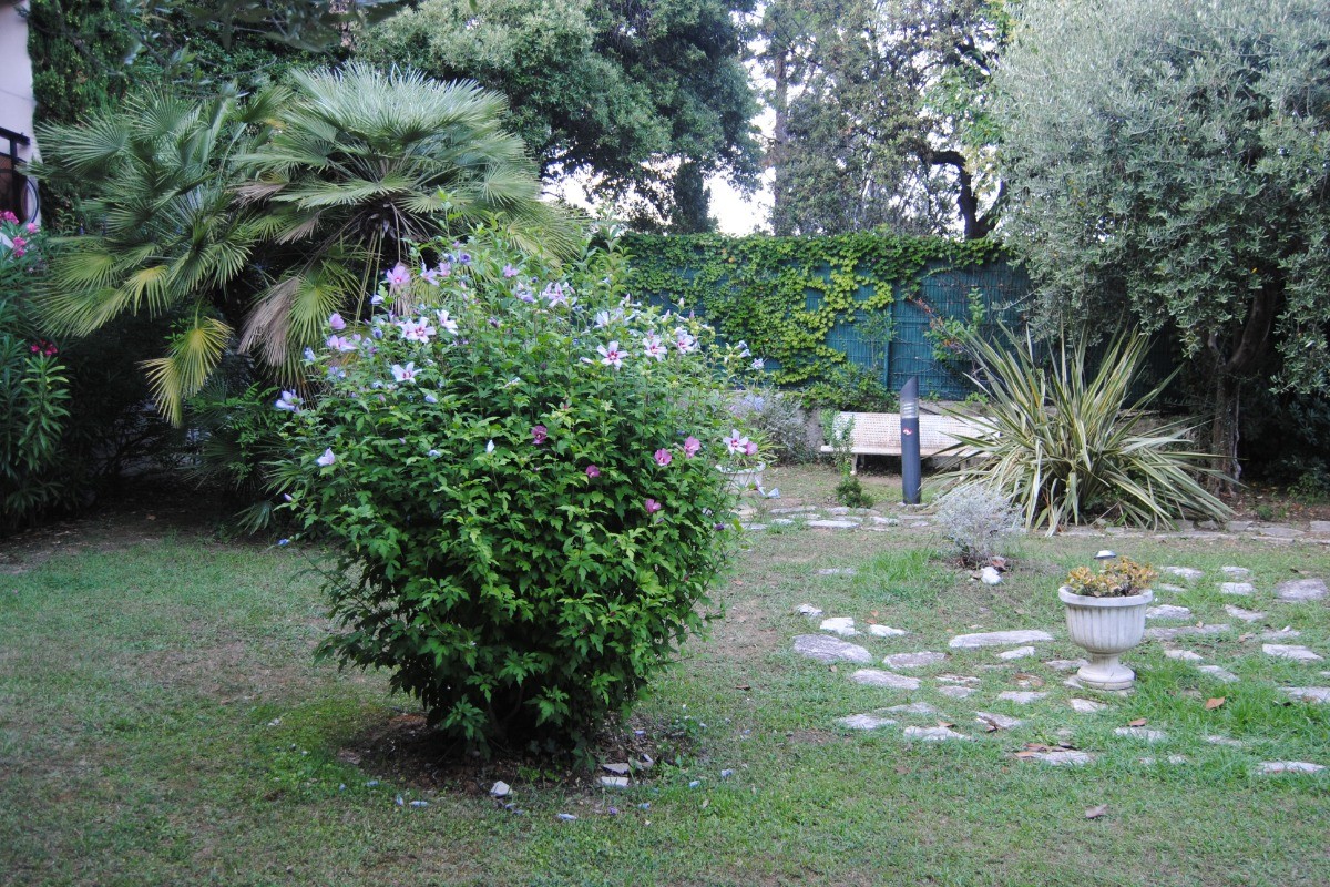 jardin