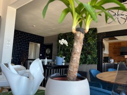 Image n° 3 de la location