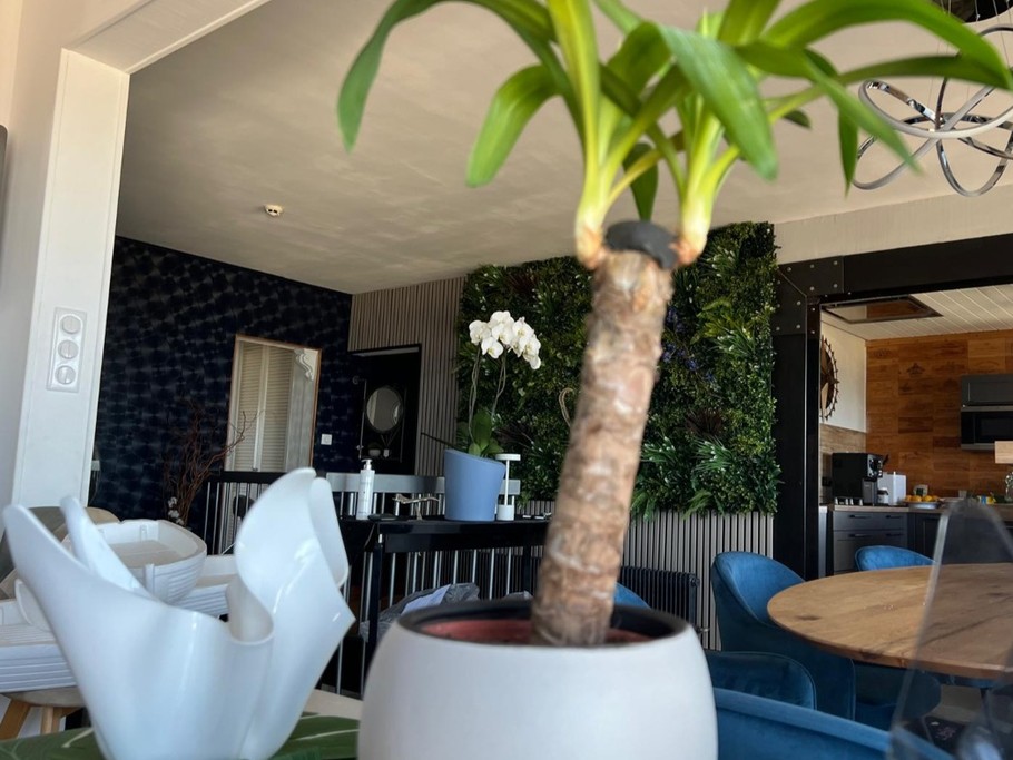 Photo n° 3 of the location