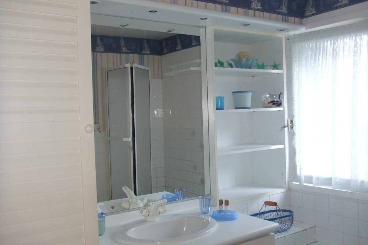 Salle de bain : douche sur baignoire