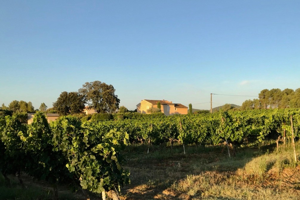 Vue sur les gîtes depuis nos vignes