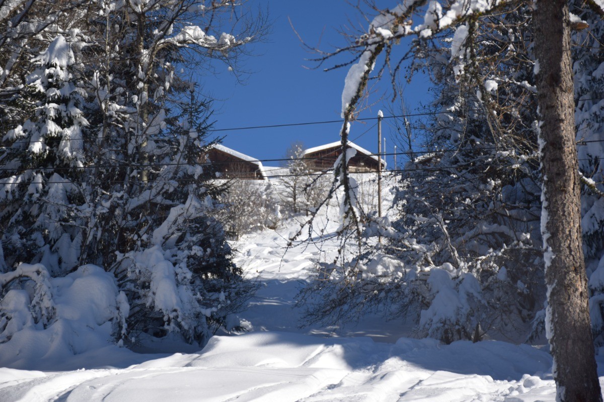 Les Colombières, au dessus du chalet, ski de rando, raquettes