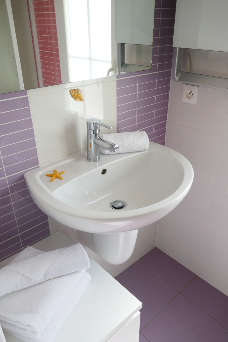 Salle d'eau attenante