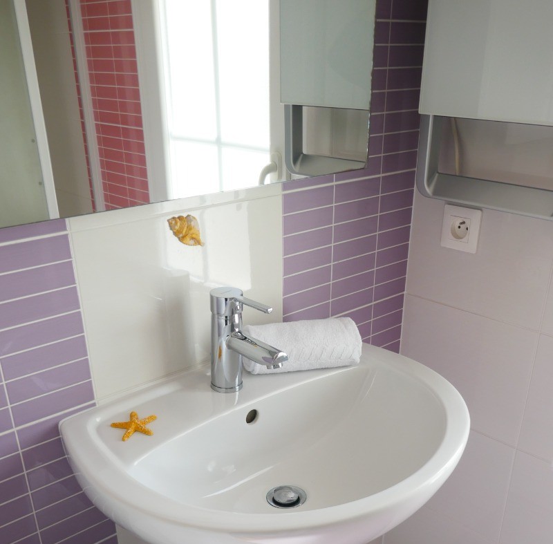 Salle d'eau attenante