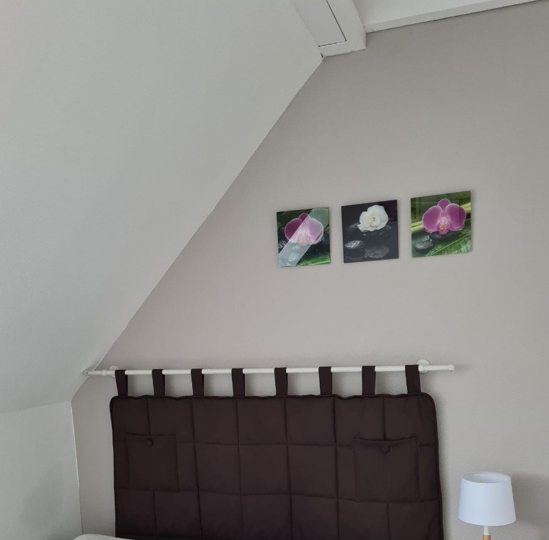 Photo n° 13 of the location