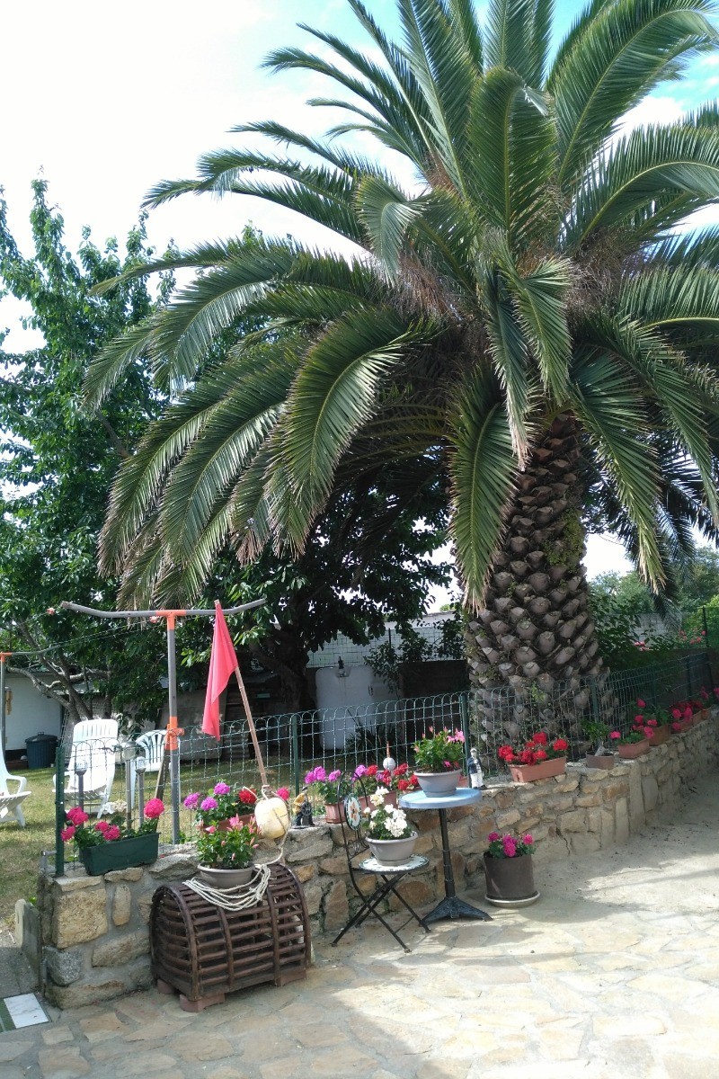 Jardin
