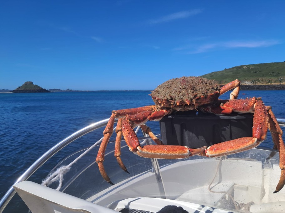 Walking and fishing at sea
