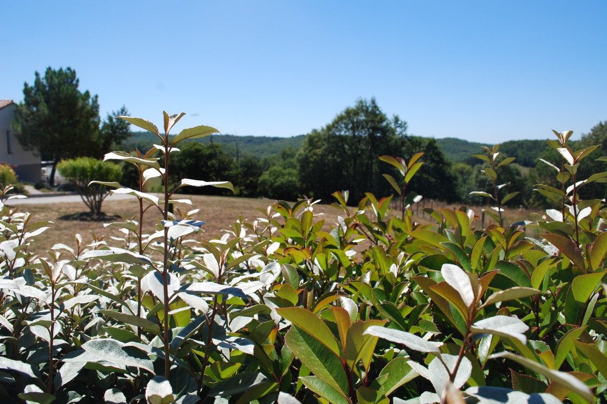 Photo n° 17 of the location