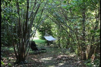 Photo n° 15 de la location