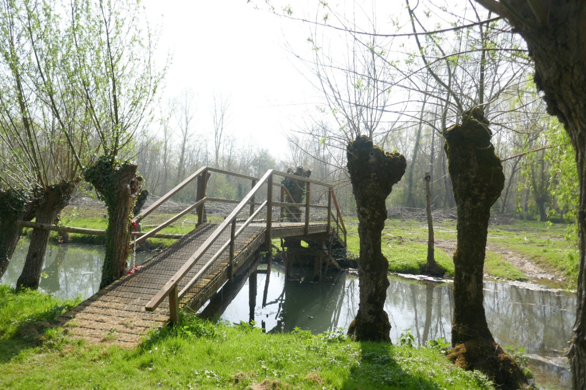 Accès direct et libre à la rivière au bout du jardin
