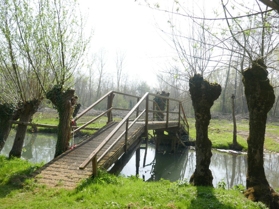 Accès direct et libre à la rivière au bout du jardin