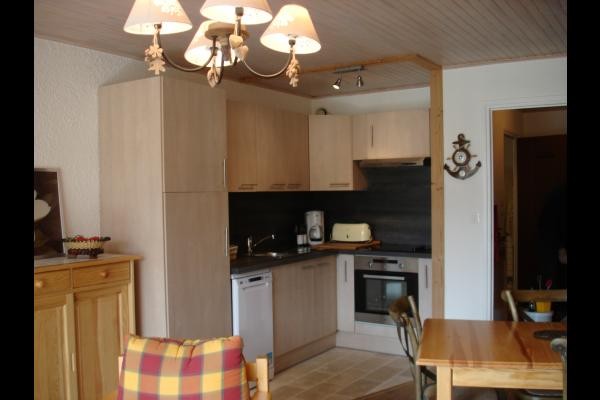 aux pieds des pistes aux Deux Alpes (Isère)- CUISINE