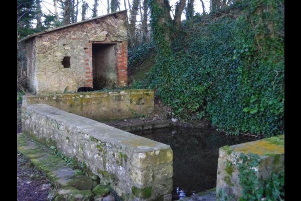 lavoir à Sainte Honorine des Pertes