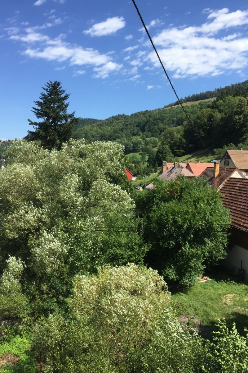 vue de la chambre