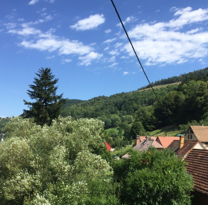 vue de la chambre