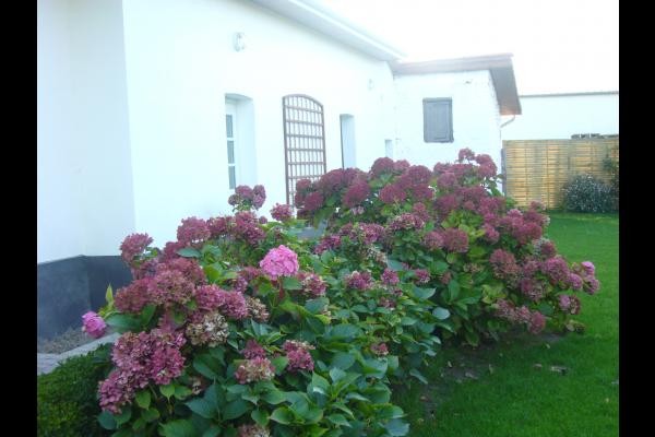 Photo n° 6 de la location