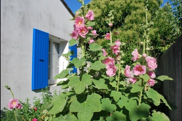 Exterieur du gîte