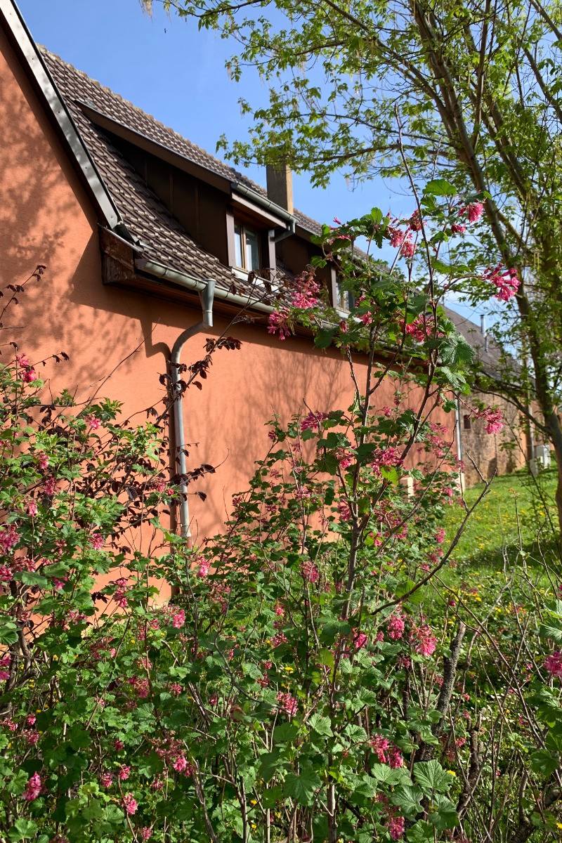 Photo n° 16 de la location