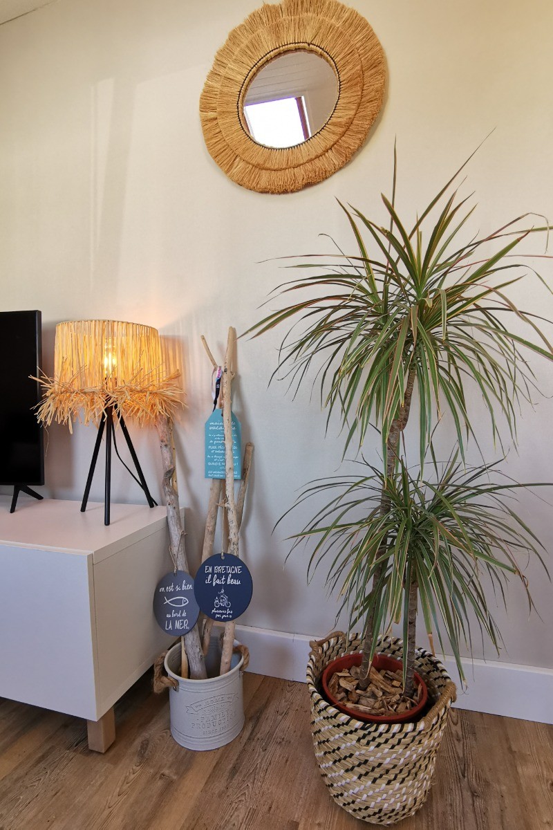 Photo n° 9 de la location