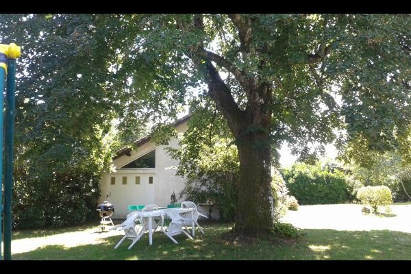 le salon de jardin sous le tilleuil