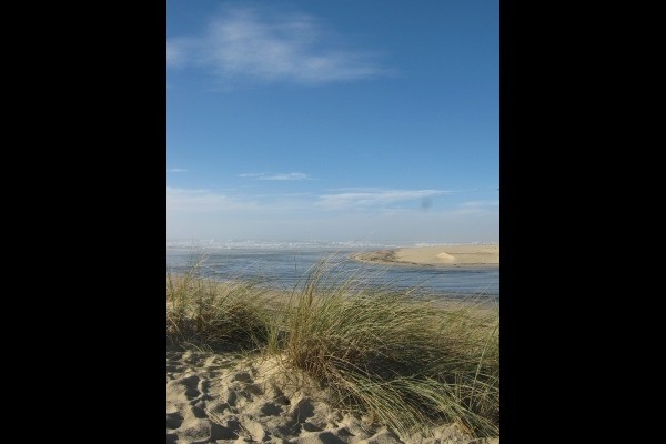 réserve naturelle du courant d'huchet