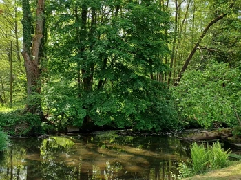 Gîte Noé Container Maritime à Bains-les-Bains