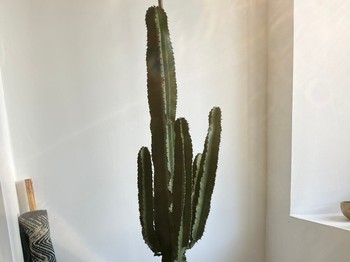 Photo n° 11 of the location