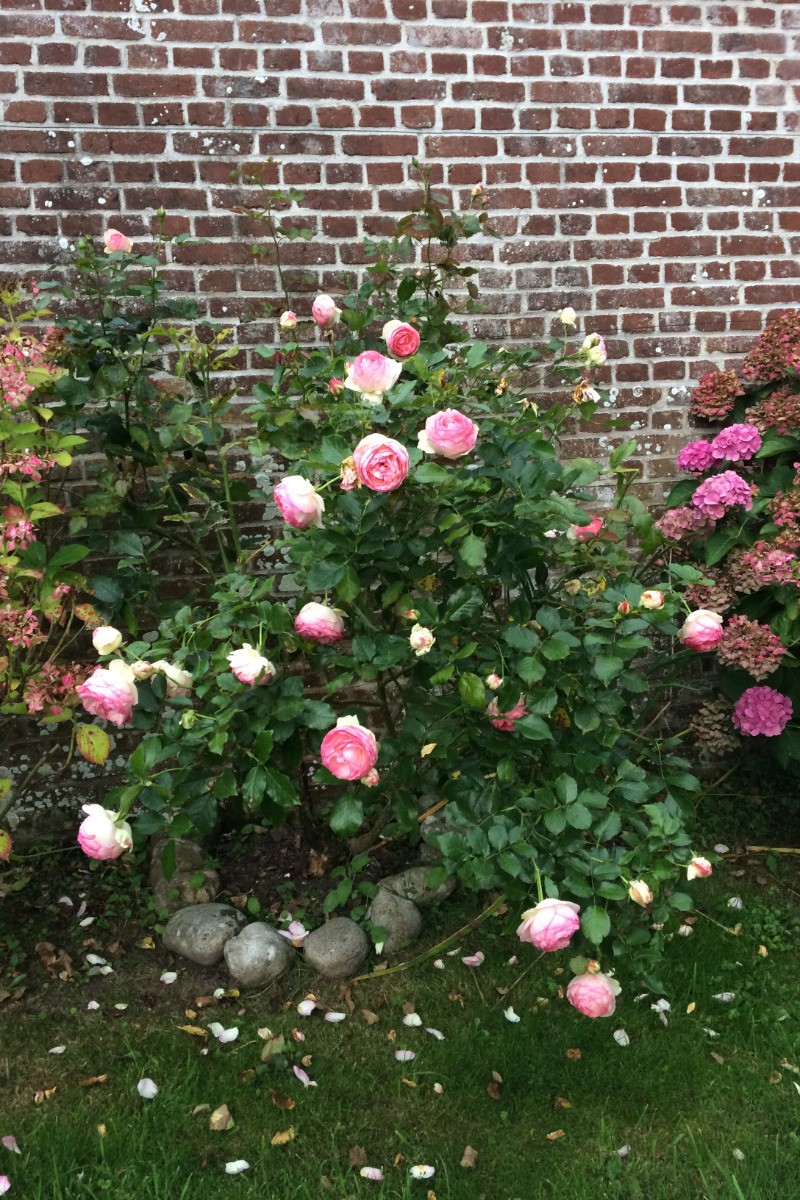 Photo n° 15 of the location