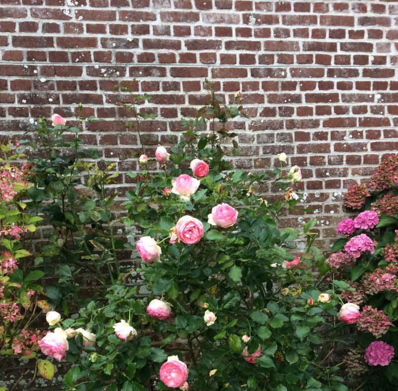 Photo n° 15 of the location