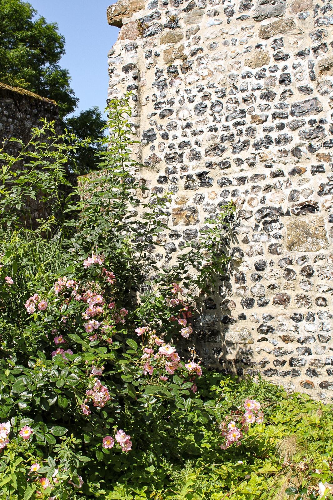Room Côté 1 – La Femme d’à Côté – Saint-Valery-sur-Somme – Hauts-de-France