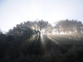 Vu depuis la maison soleil d'hiver