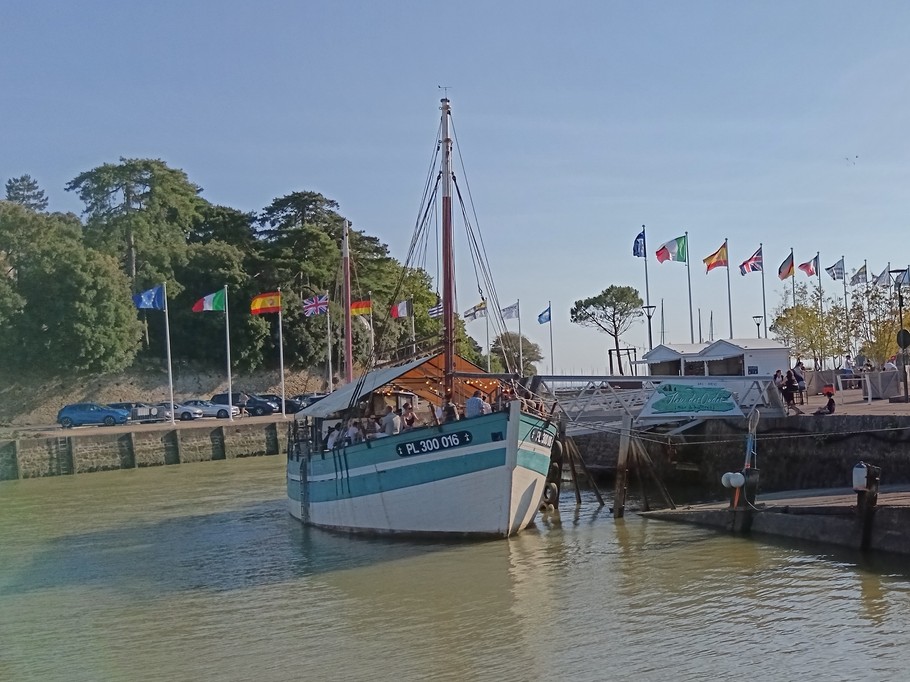 Bar à huitres sur le vieux port