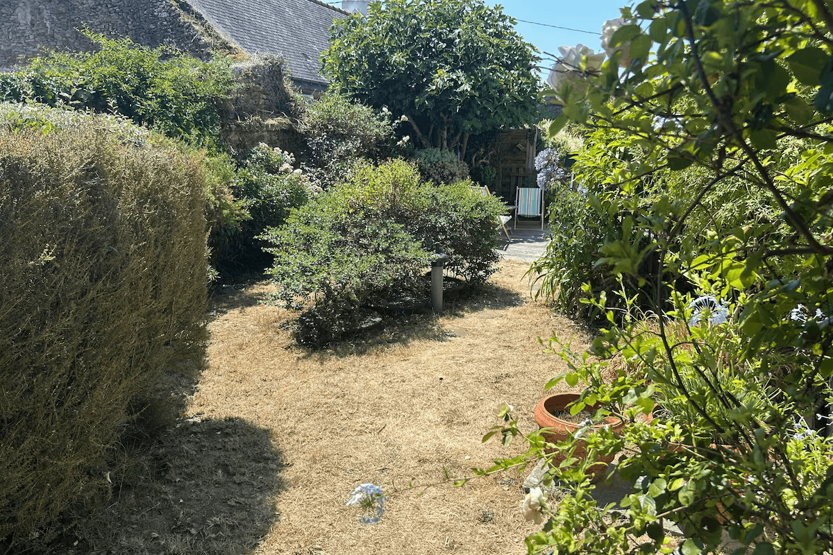 Jardin
