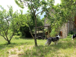 Image n° 2 de la location