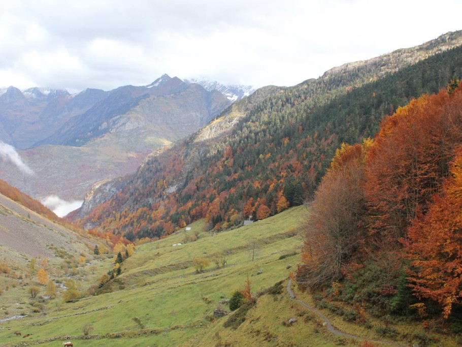 Automne au dessus du gîte