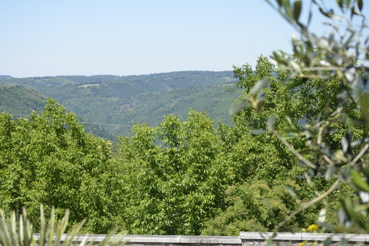 Photo n° 15 de la location