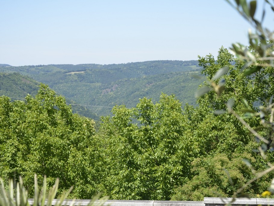 Photo n° 15 of the location