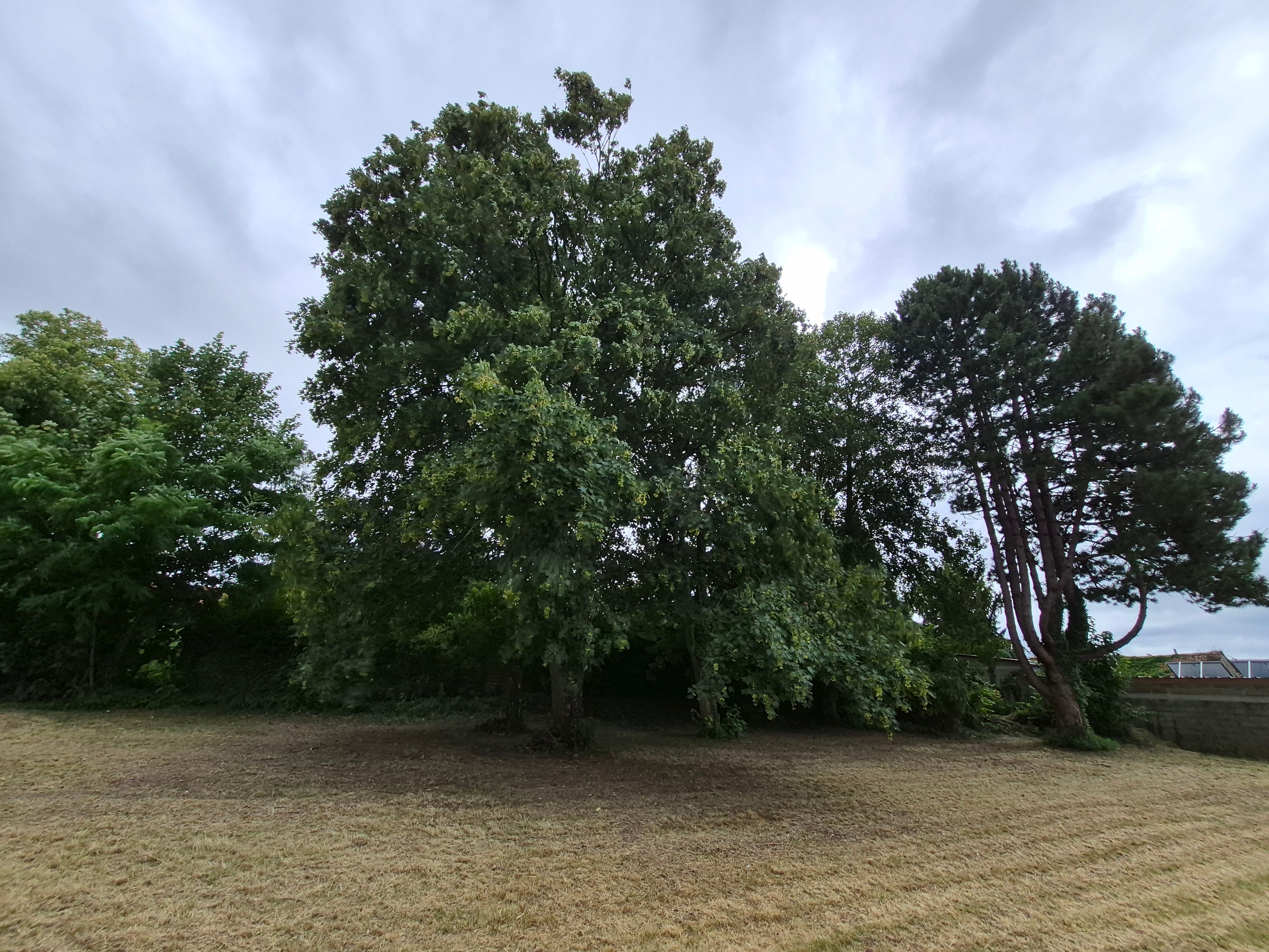 Grand parc arboré idéal pour les moments de détente.Maison Les Coquelicots de Picardie - Méricourt l'Abbé - Hauts de France