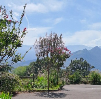 Vue extérieure depuis l'appartement
