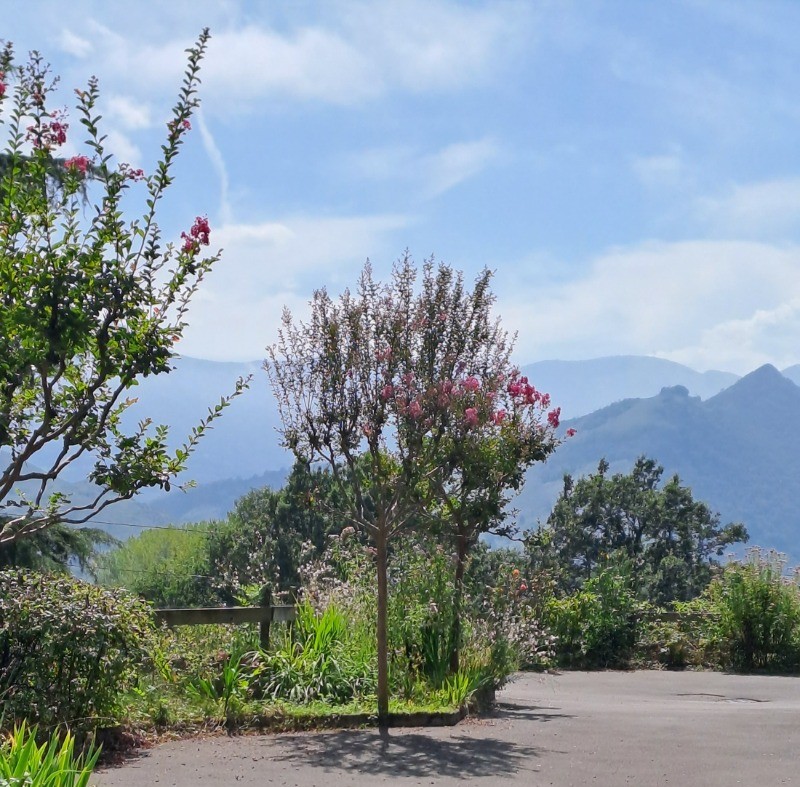 Vue extérieure depuis l'appartement