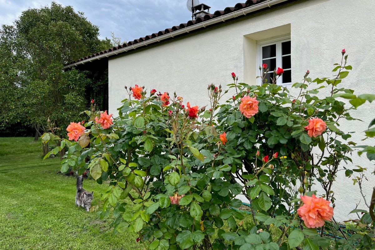 Photo n° 17 of the location