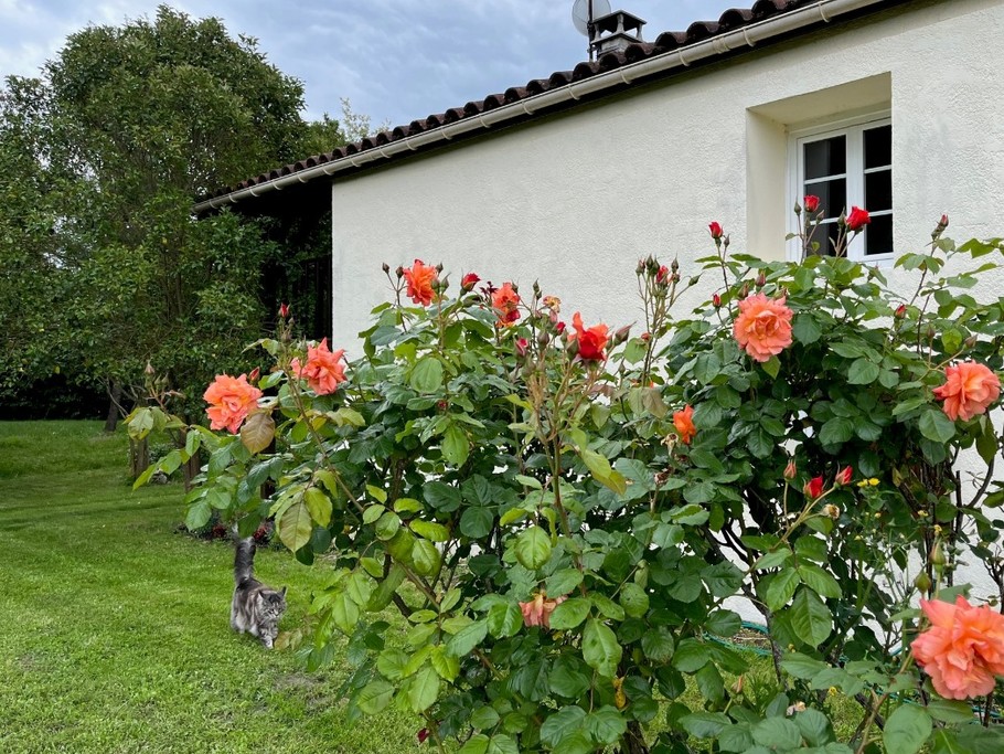 Photo n° 17 de la location