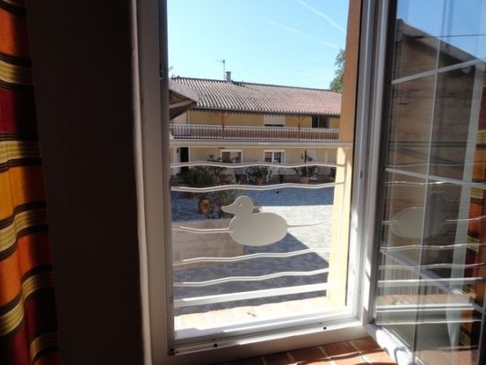 Photo n° 7 de la location