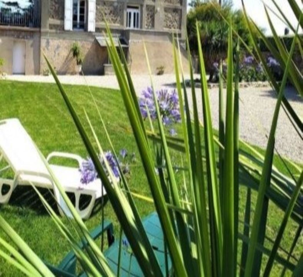 la cour