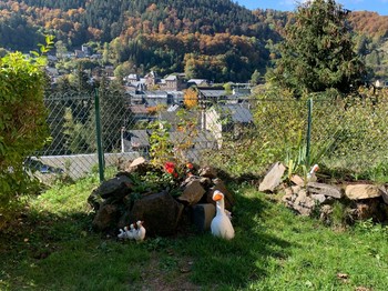 Notre espace jardin : les amateurs de jardinage sont les bienvenus et surtout pour leurs conseils !