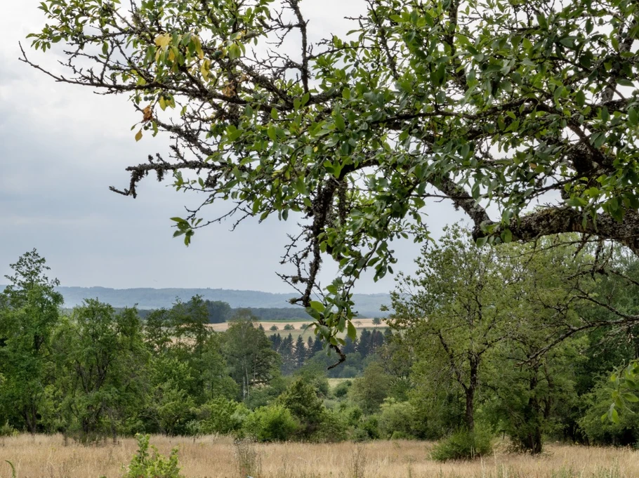 Paysage champêtre à proximité - Les 3 Line